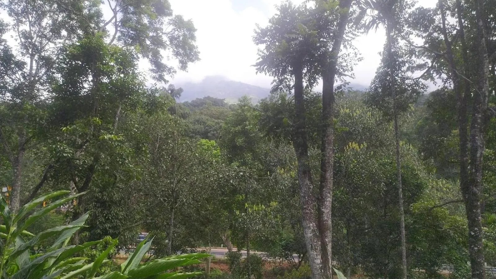 Suryas Home Stay Devikolam India